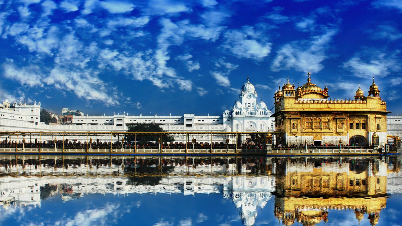 Top Overseas Scholarships for Indian Students to Study Abroad