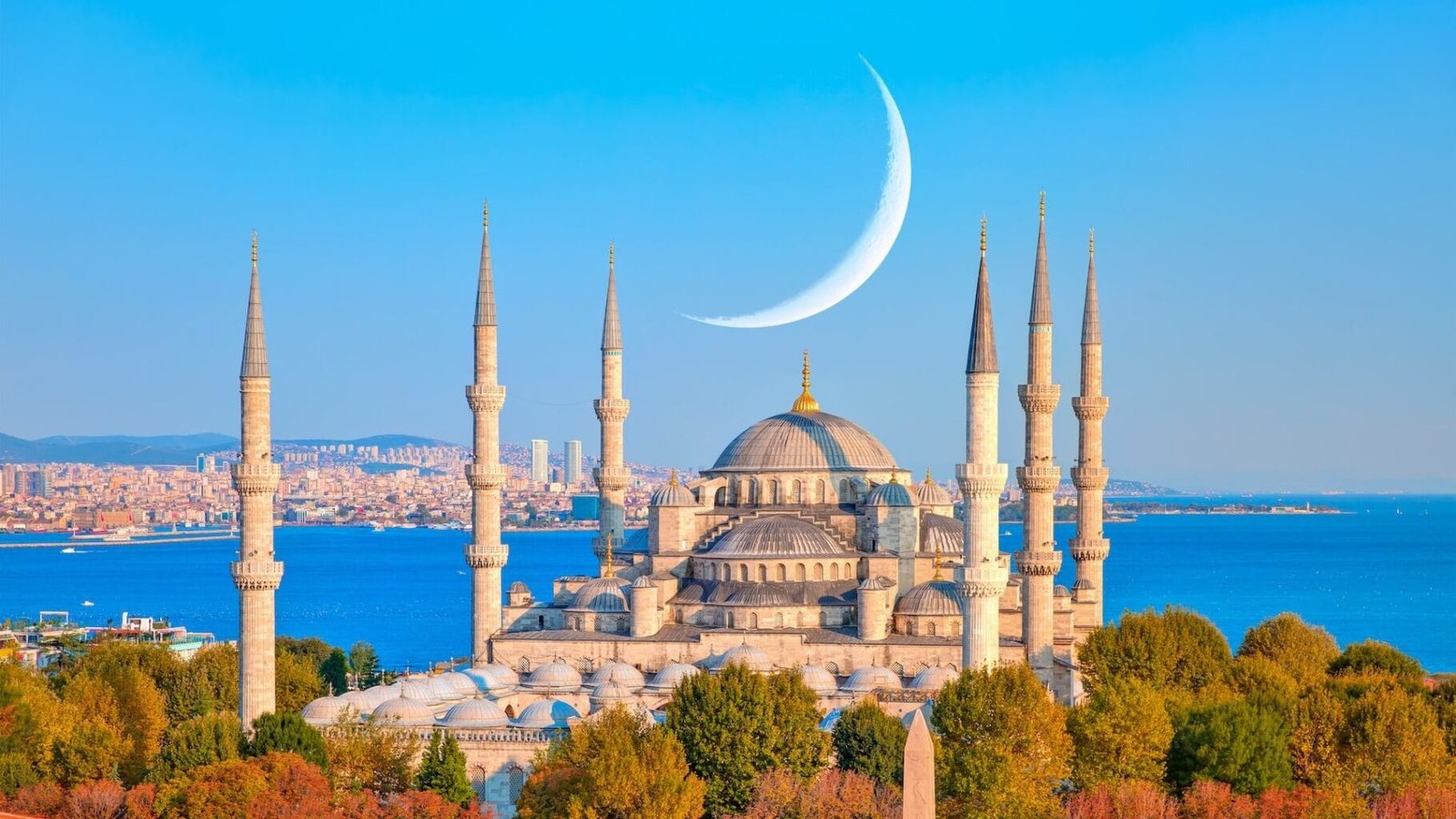 Blue Mosque Attraction