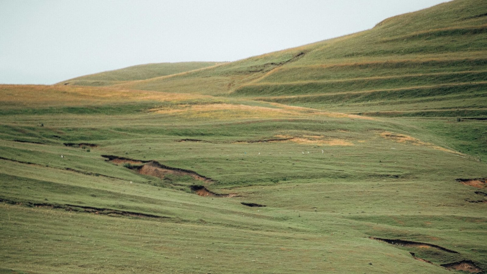 Azerbaijan evisa requirements for Finnish passport holder